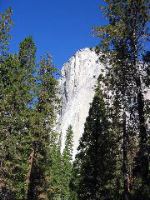 IMG_0352.JPG