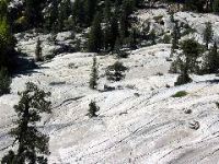 IMG_0357.JPG