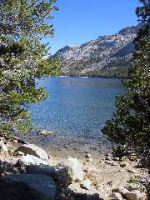 IMG_0359.JPG