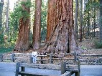 IMG_0341.JPG