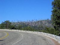 IMG_0346.JPG