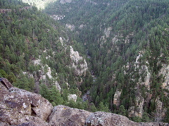 P8261119.JPG