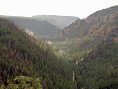 P8261136.JPG