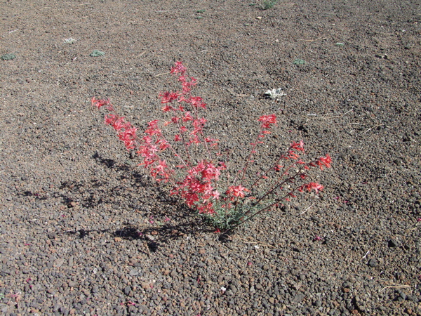 P8281304.JPG