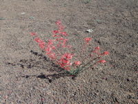 P8281304.JPG