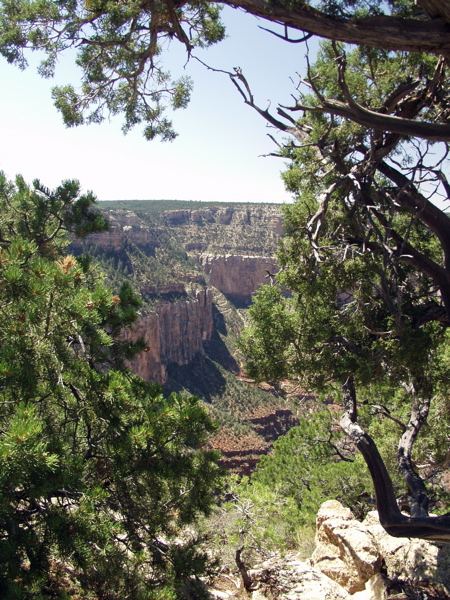 P8271184.JPG