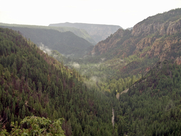 P8261136.JPG