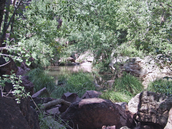 P8291423.JPG
