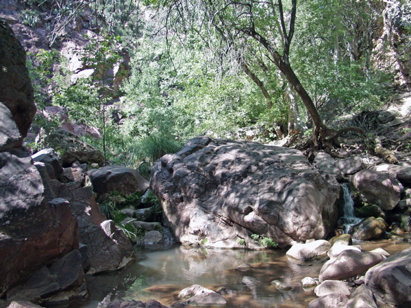 P8291424.JPG