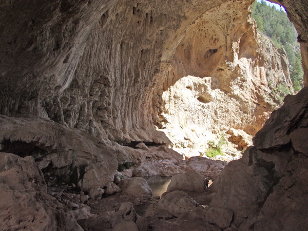 P8291457.JPG