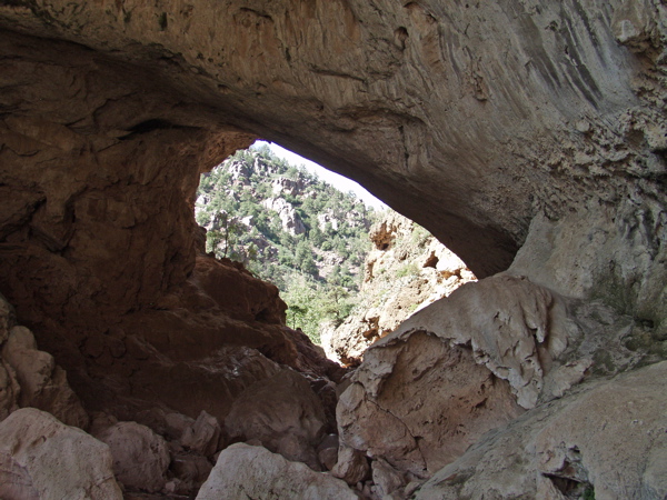 P8291467.JPG