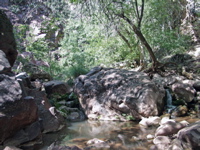P8291424.JPG