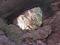 P8291429
