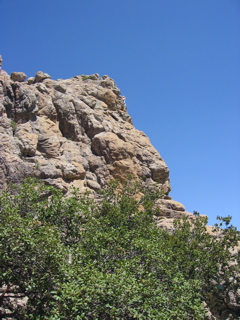 IMG_7081.JPG