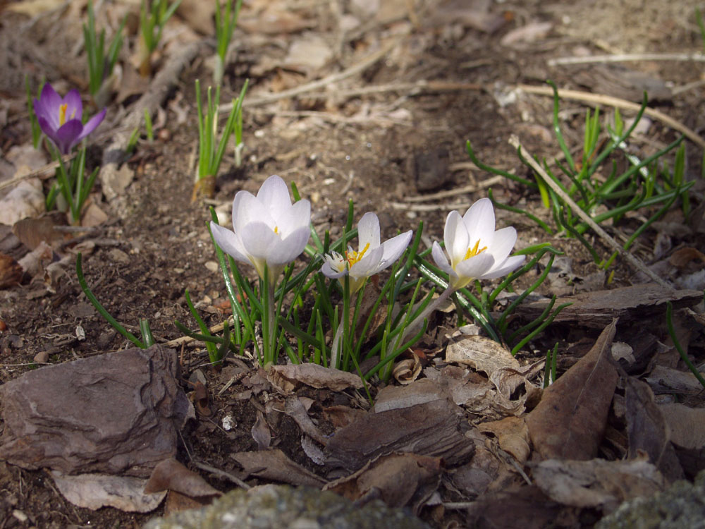 P3232961.JPG