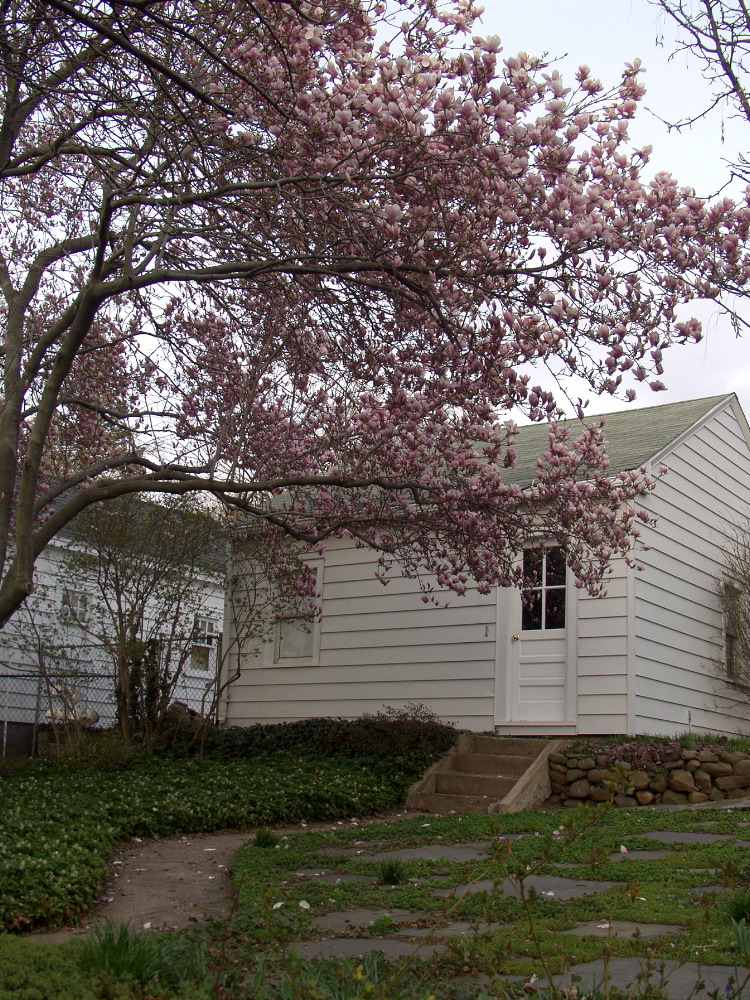 P4252986.JPG