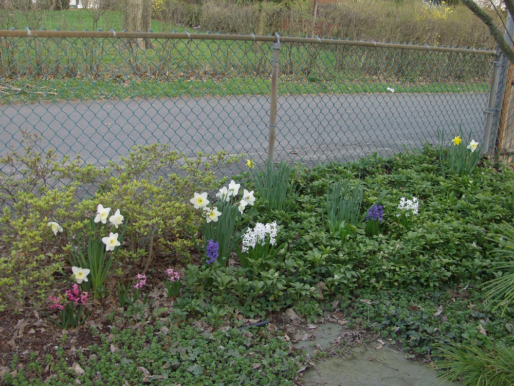 P4252988.JPG