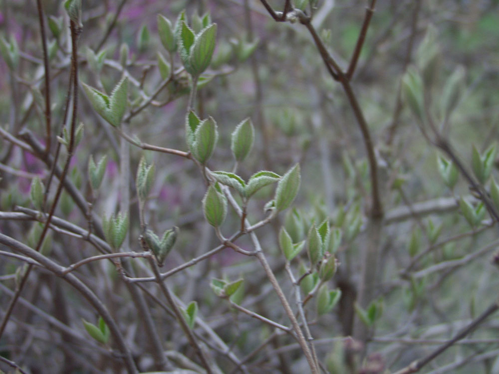 P4162972.JPG