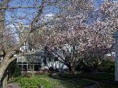 P4242981.JPG